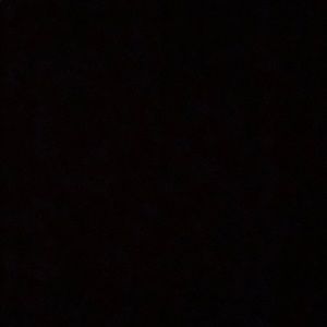 Meet your Posher, Raiven